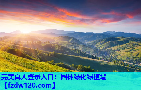 园林绿化绿植墙