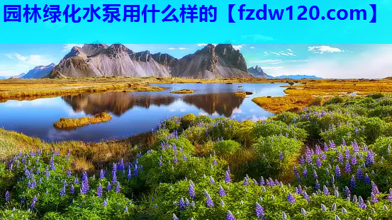 园林绿化水泵用什么样的