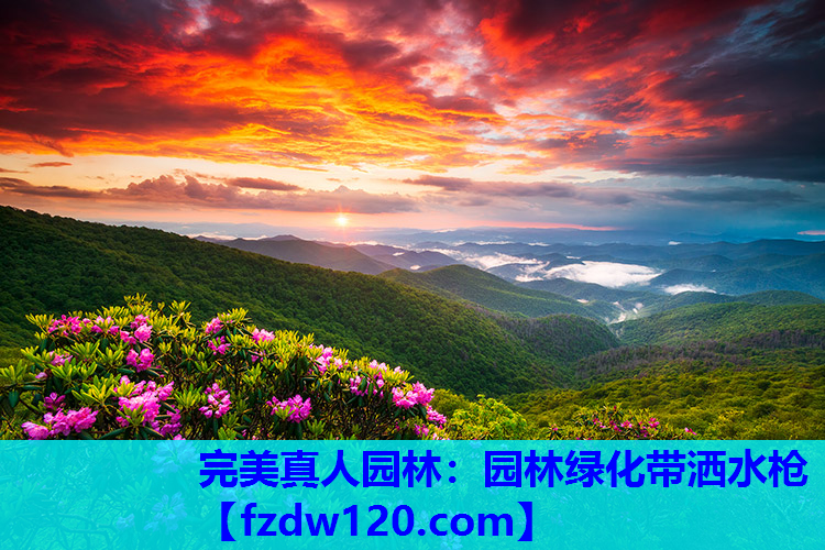 园林绿化带洒水枪