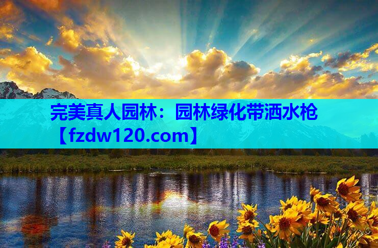 园林绿化带洒水枪