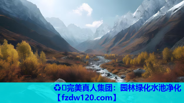 园林绿化水池净化