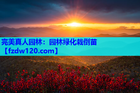 园林绿化栽倒苗