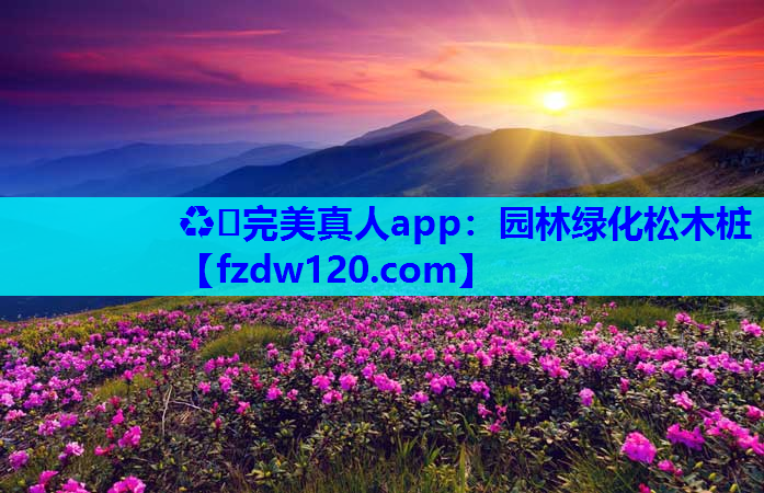 园林绿化松木桩