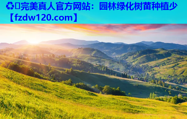 园林绿化树苗种植少 园林绿化树苗种植少