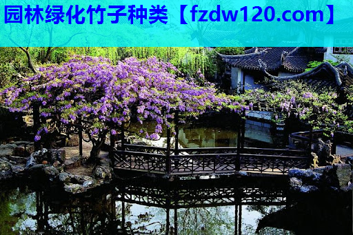 园林绿化竹子种类