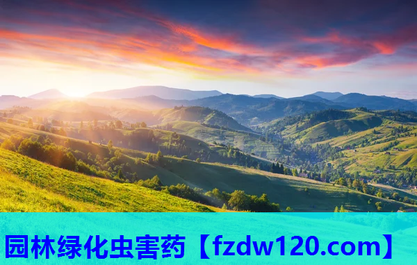 园林绿化虫害药