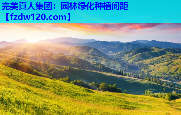 园林绿化种植间距