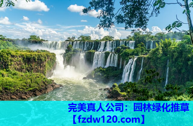 园林绿化推草