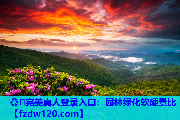 园林绿化软硬景比