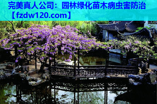 园林绿化苗木病虫害防治