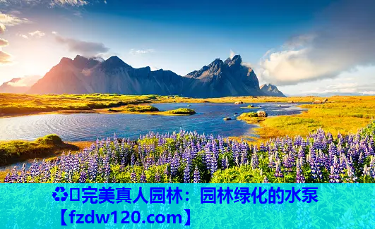 园林绿化的水泵
