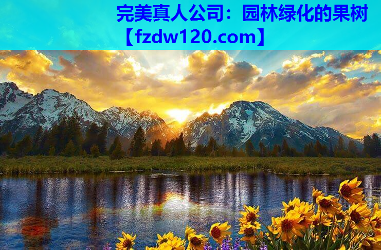 园林绿化的果树